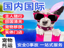 三家子航空快运国际宠物托运 【国